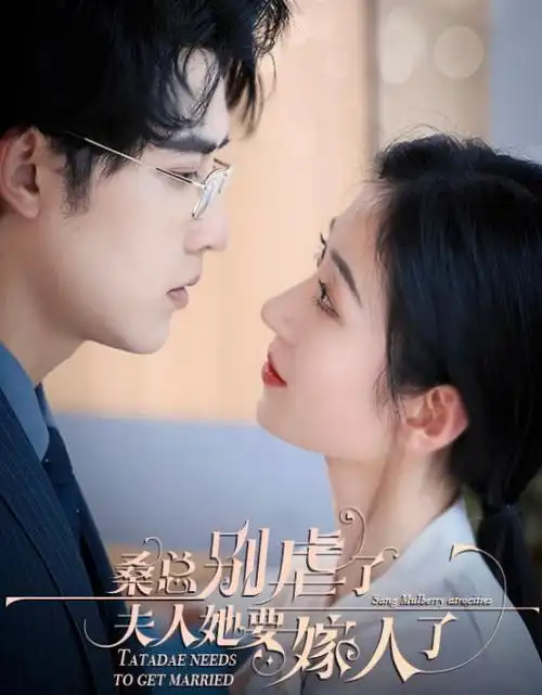 长夜灯下热播电视剧全集在线观看