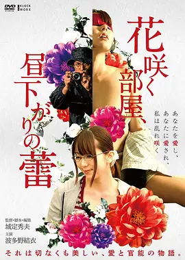 深海回声热播榜第一